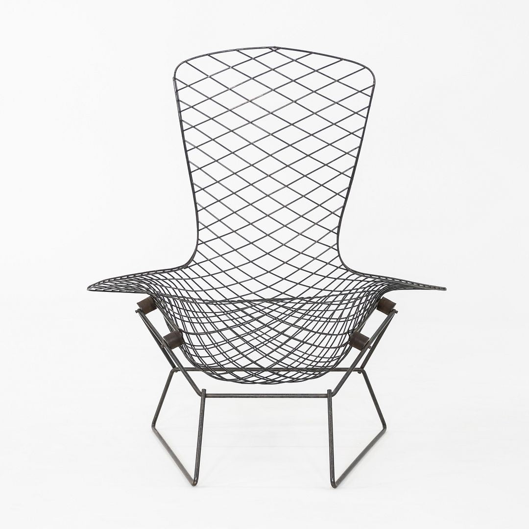 1960s Harry Bertoia for Knoll Bird Lounge Chair in Black Welded Steel Frame