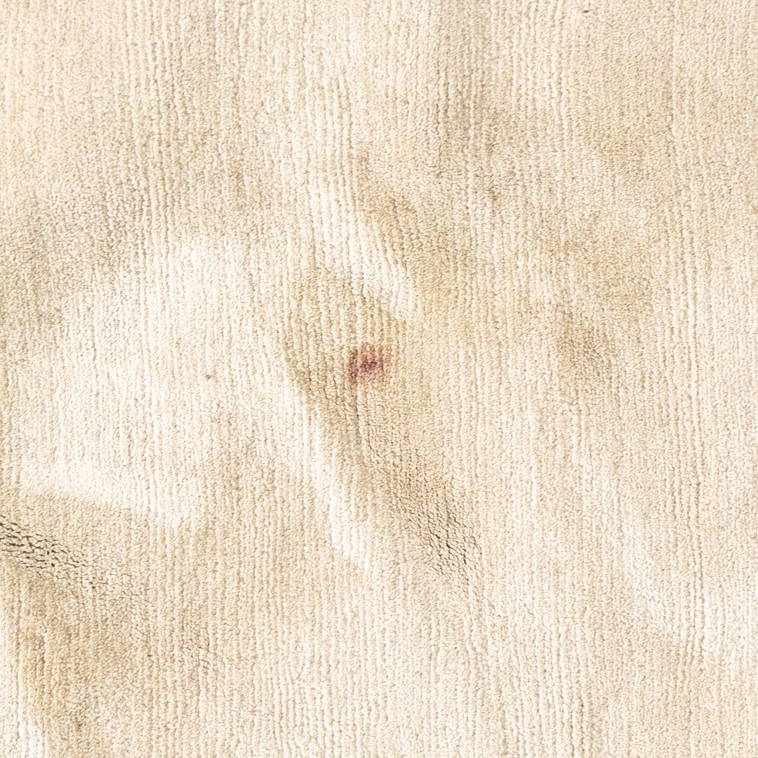 2000s Hand Knotted Large Area Rug in Grey and White from Nepal 14 x 14 feet