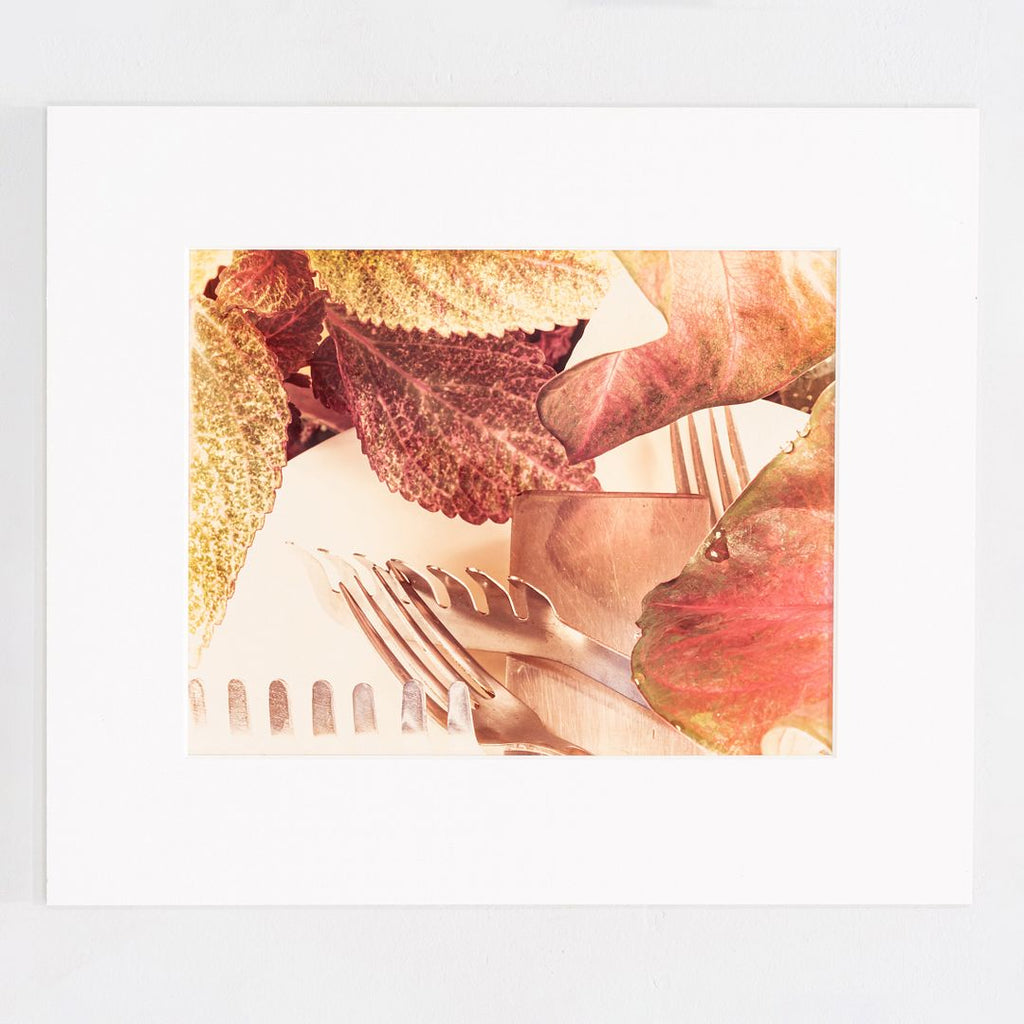 1978 Jan Groover Untitled Postmodern Kitchen Still Life Photograph 1/3