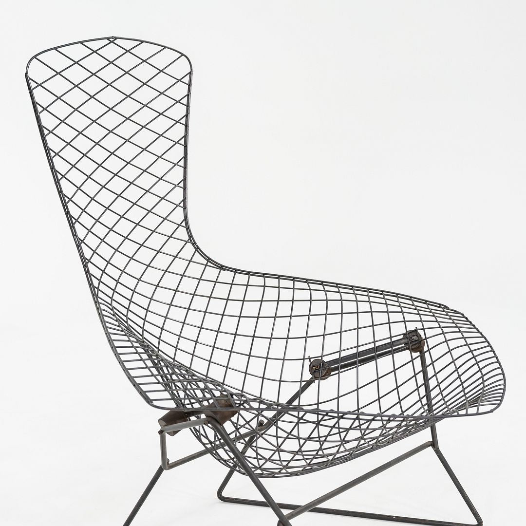 1960s Harry Bertoia for Knoll Bird Lounge Chair in Black Welded Steel Frame