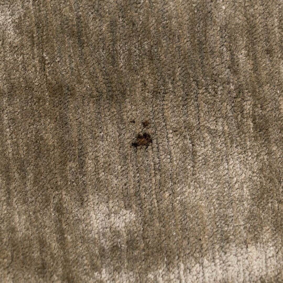 SOLD 100% Silk Green Rug from Nepal Imported by Carini Lang - Joseph Carini Carpets 10x14 ft