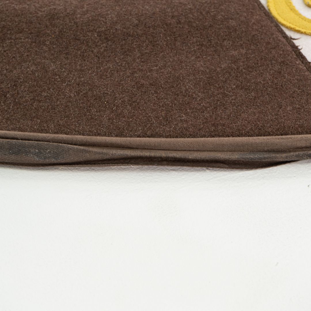 2005 Paola Lenti Brown Rug Made in Italy 5 x 12 ft 3x Available