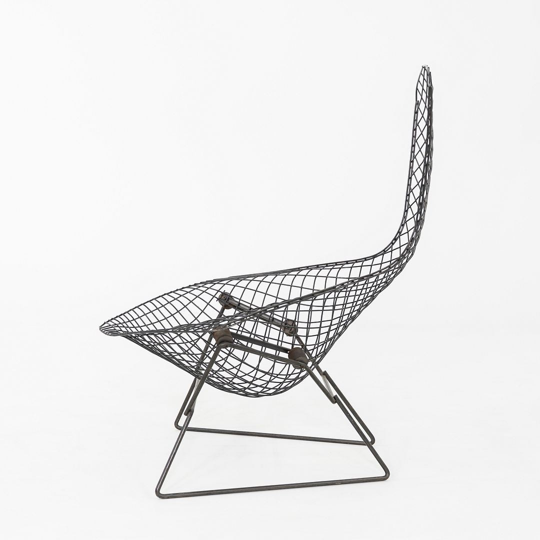 1960s Harry Bertoia for Knoll Bird Lounge Chair in Black Welded Steel Frame
