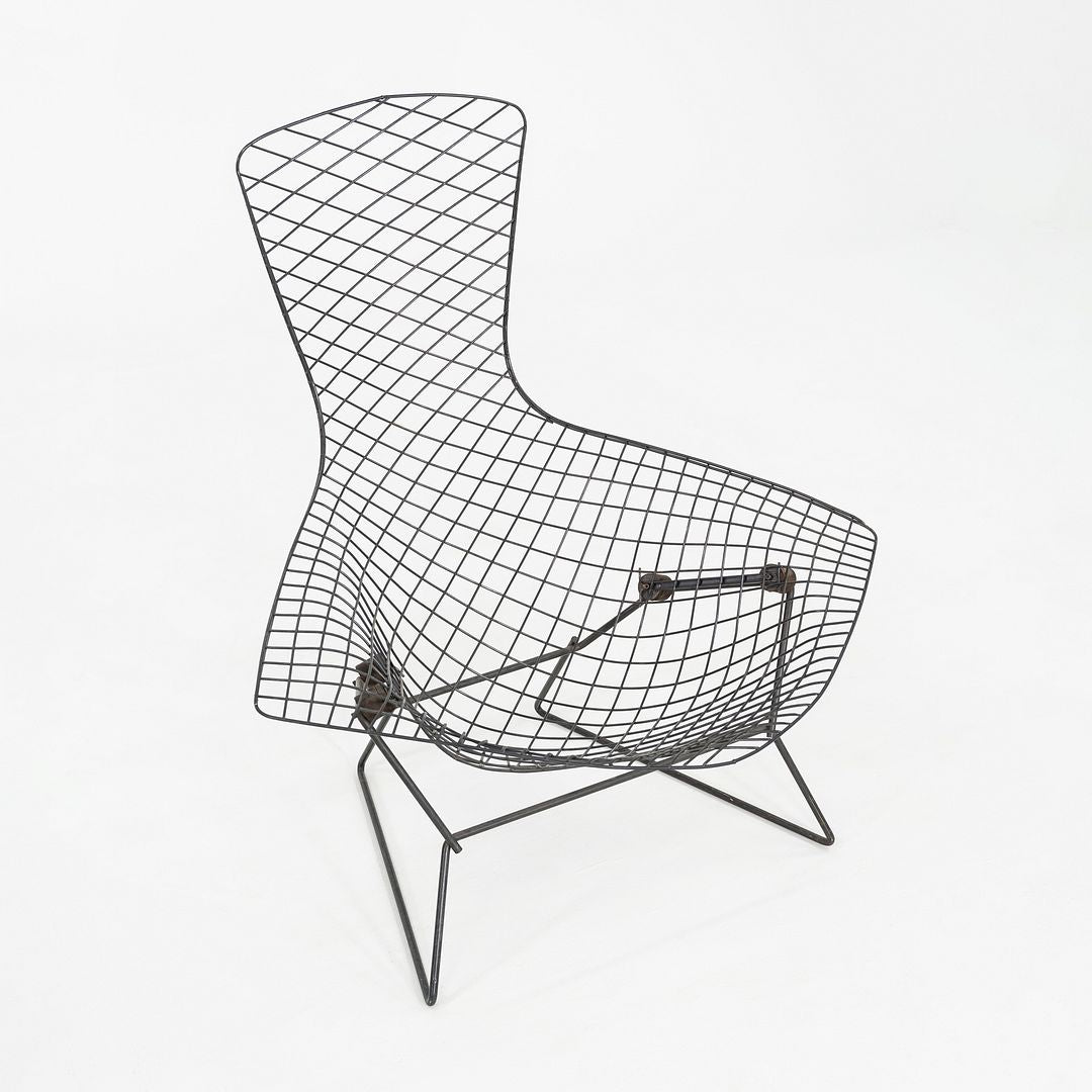 1960s Harry Bertoia for Knoll Bird Lounge Chair in Black Welded Steel Frame