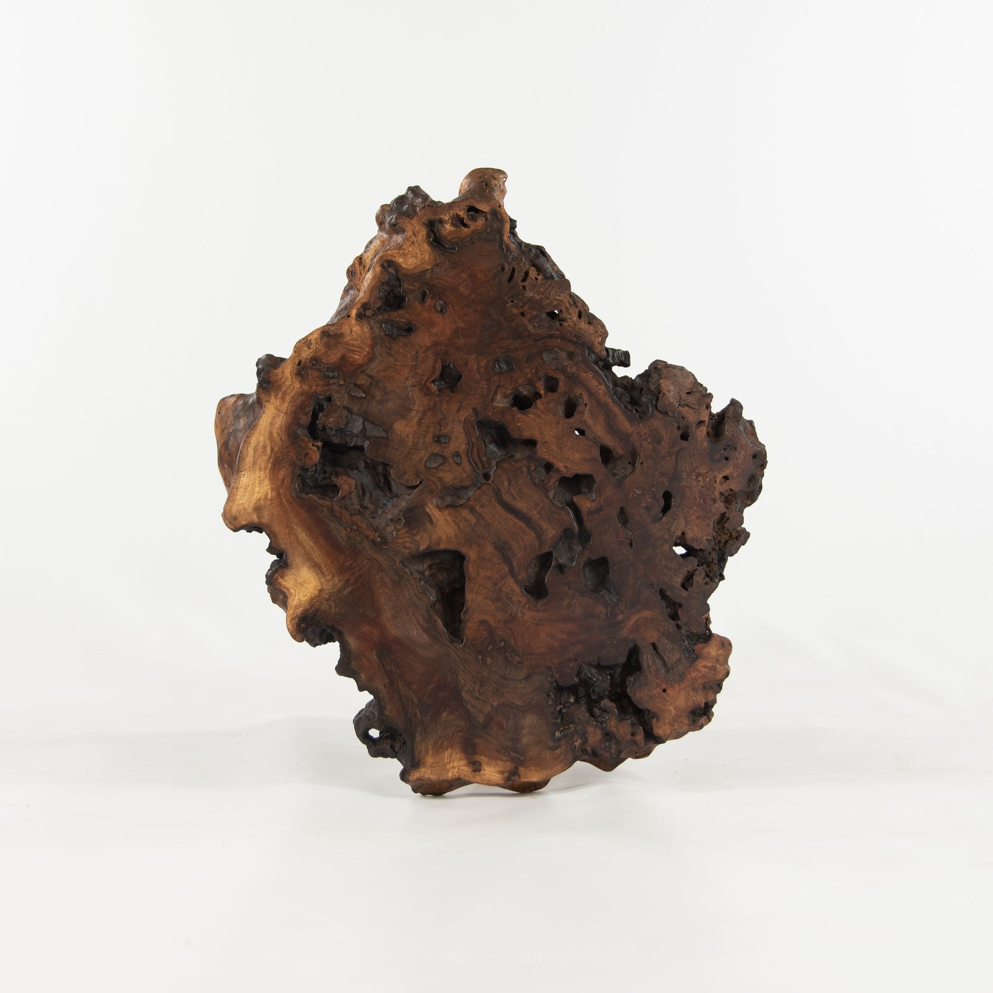 Mira Nakashima Claro Walnut Burl Minguren I Side / End Table George Nakashima Studio